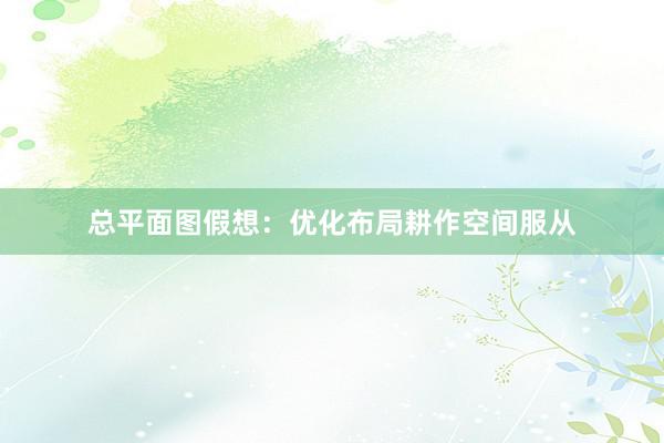 总平面图假想：优化布局耕作空间服从