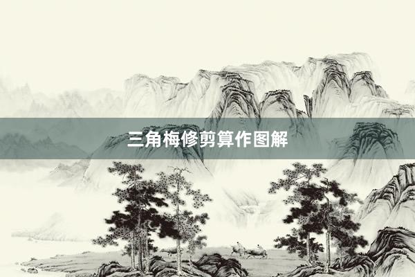 三角梅修剪算作图解