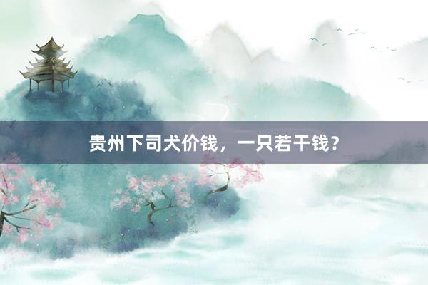 贵州下司犬价钱，一只若干钱？