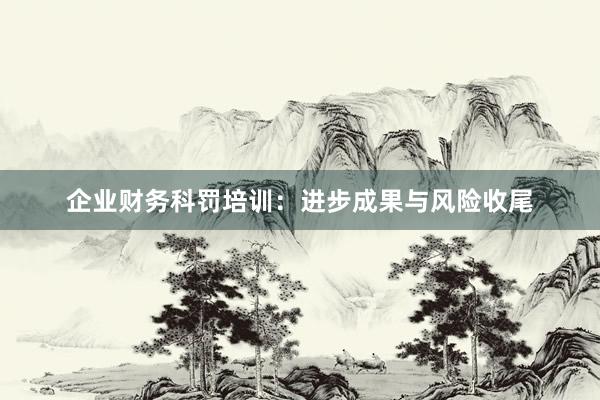 企业财务科罚培训：进步成果与风险收尾