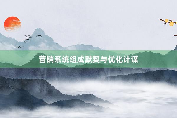 营销系统组成默契与优化计谋